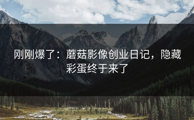 刚刚爆了：蘑菇影像创业日记，隐藏彩蛋终于来了